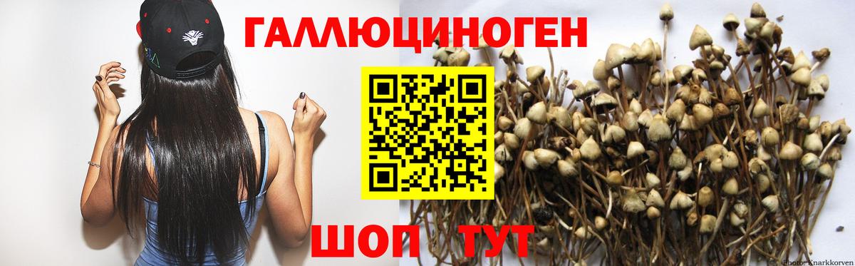 Псилоцибиновые грибы мухоморы  Вход с VPN  Новый Уренгой  Галлюциногенные грибы ЛСД 
