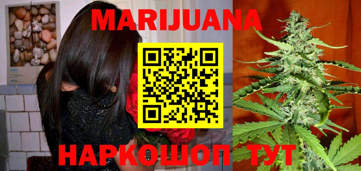 Бошки Шишки план Новый Уренгой